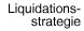 Liquidationsstrategie