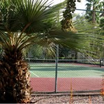 lp_pg_pg_slide_G9_0095