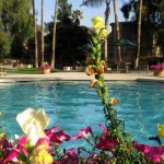 lp_pg_pg_slide_G9_0101