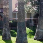 lp_pg_pg_slide_IMG_1245