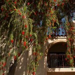 lp_pg_pg_slide_IMG_1436-1