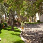 lp_pg_pg_slide_IMG_1507