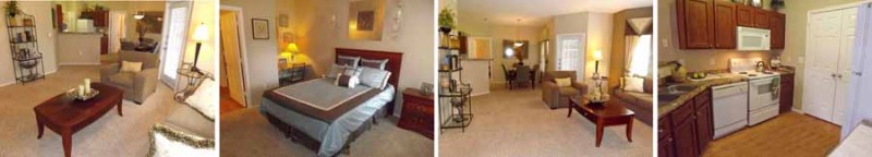 mo_floorplan_small_1